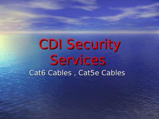 CDI Security Services (1).ppt