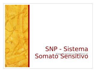 13. SNP - Sist. Somatosensitivo.ppt