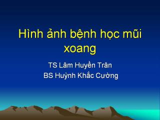 HINH ANH BENH LY MUI XOANG.pdf